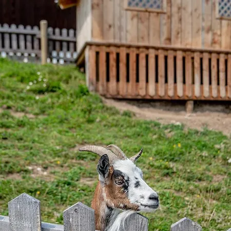 Hotel Sonnschupfer 4*