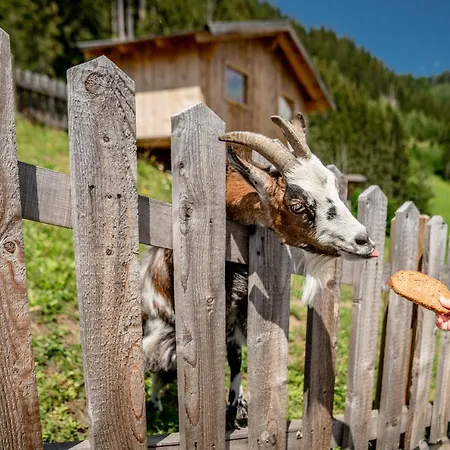 فندق Sonnschupfer سخلادميخ