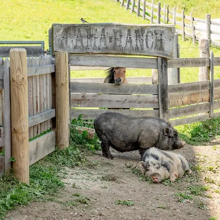 Sonnschupfer 4* سخلادميخ