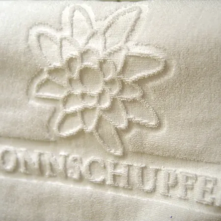 Sonnschupfer فندق سخلادميخ