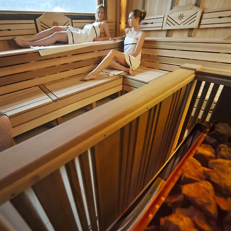 فندق Sonnschupfer 4*