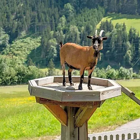 Hotel Sonnschupfer Schladming