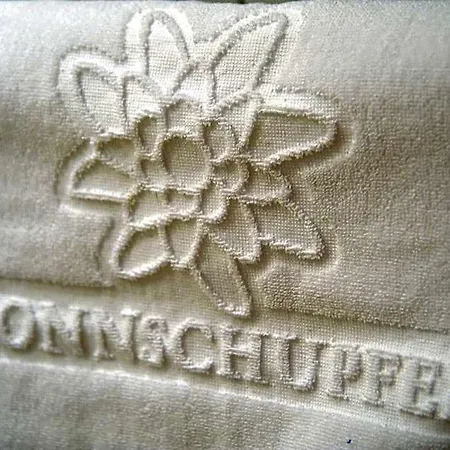 Hotel Sonnschupfer Schladming