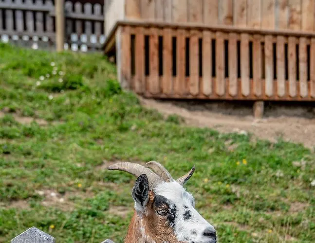 Hotel Sonnschupfer 4*