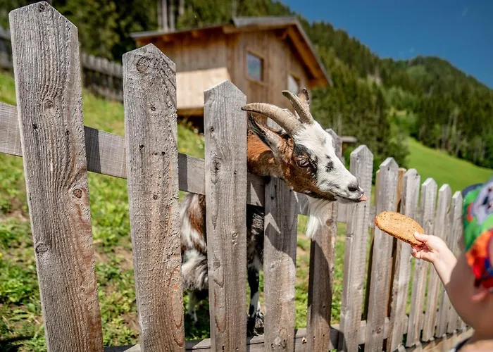 호텔 존슈퍼 슈라드밍