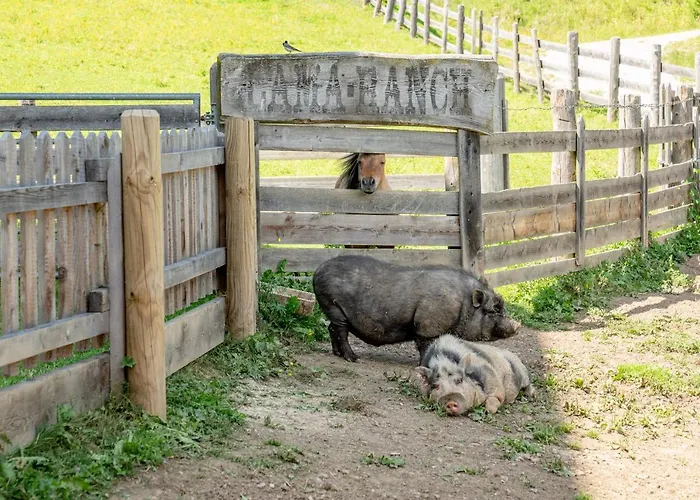 Sonnschupfer 4* Schladming